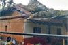 Trees uprooted, electric poles damaged as heavy rains lash Belthangady